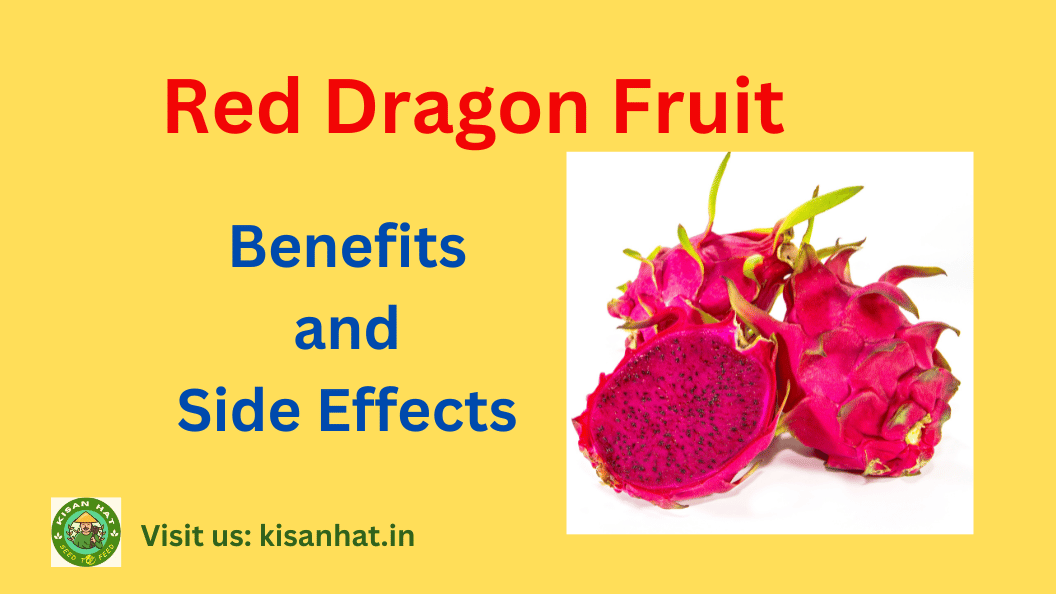 Benefits and Side Effects of Red Dragon Fruit