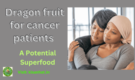 Dragon fruit for cancer patients