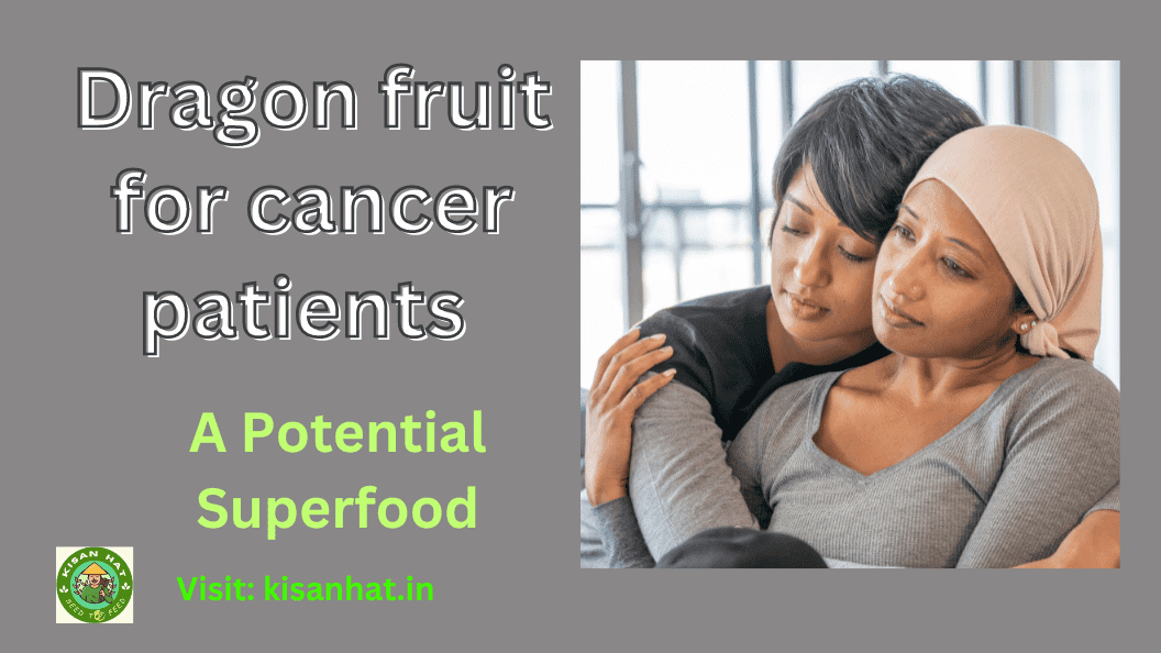 Dragon fruit for cancer patients