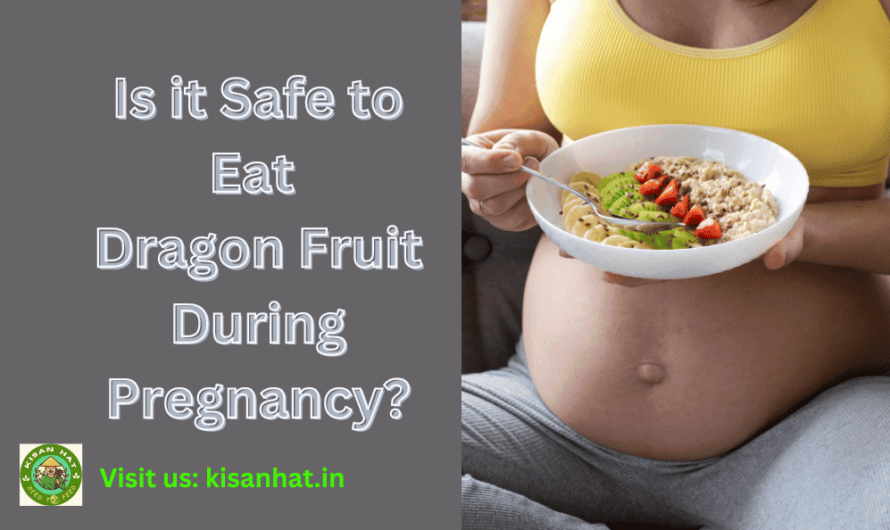 Is it Safe to Eat Dragon Fruit During Pregnancy?