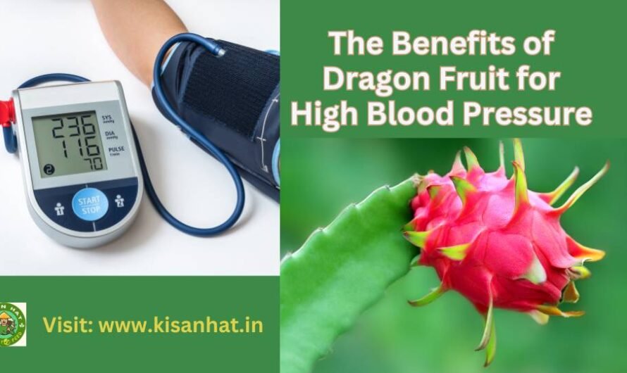 The Benefits of Dragon Fruit for High Blood Pressure