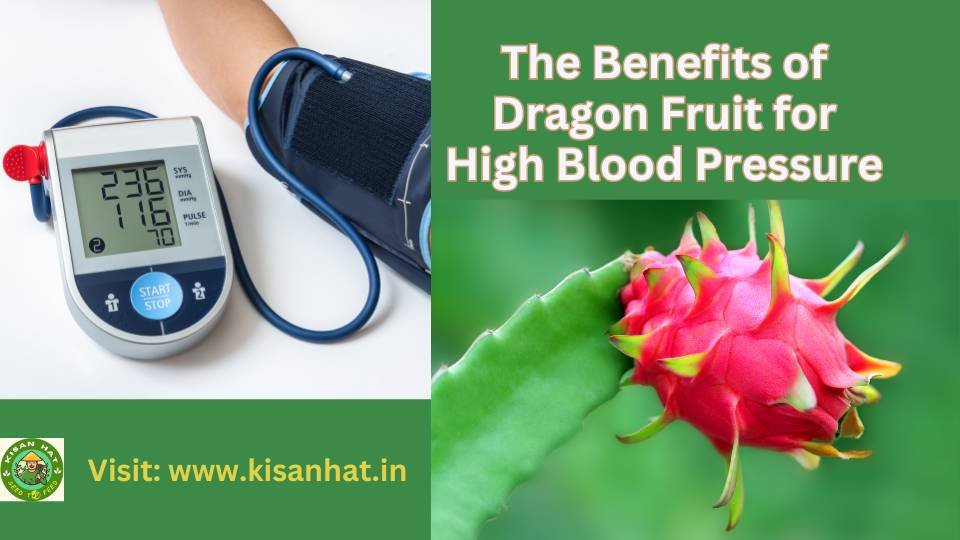 The Benefits of Dragon Fruit for High Blood Pressure