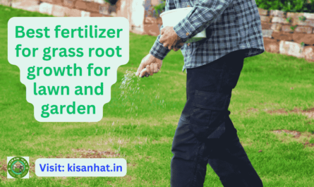 Best fertilizer for grass root growth for lawn