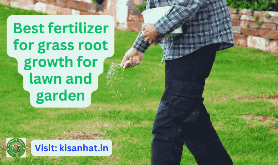 Best fertilizer for grass root growth for lawn and garden