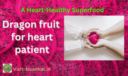 Dragon fruit for heart patient