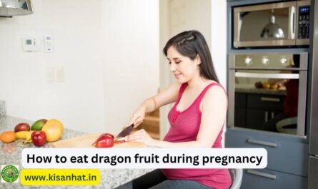 How to eat dragon fruit during pregnancy