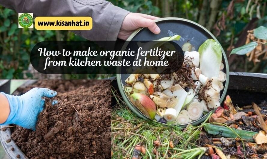 How to make organic fertilizer from kitchen waste at home