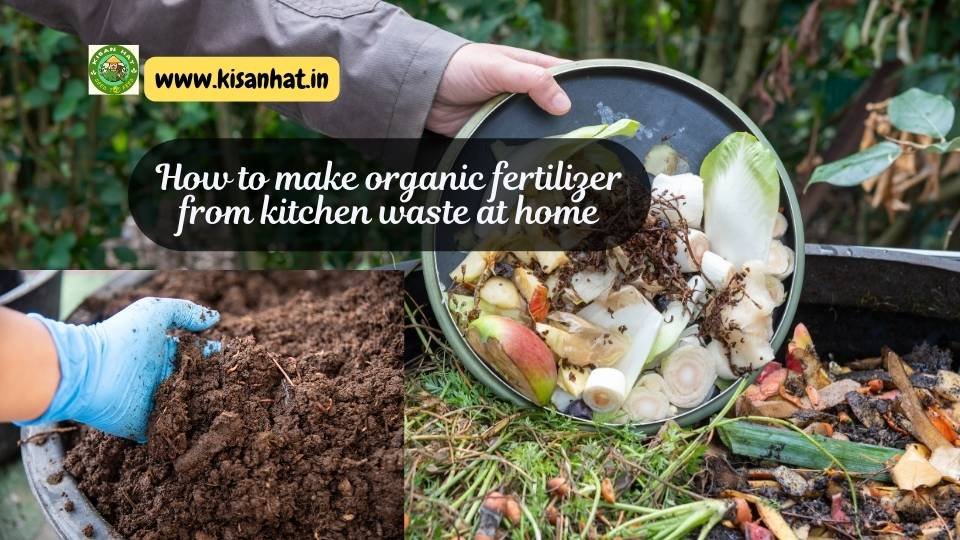 How to make organic fertilizer from kitchen waste at home