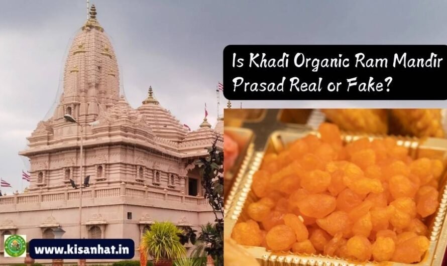 Is Khadi Organic Ram Mandir Prasad Real or Fake?