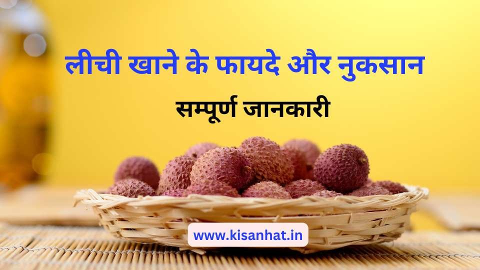 Litchi khane ke fayde aur nuksan