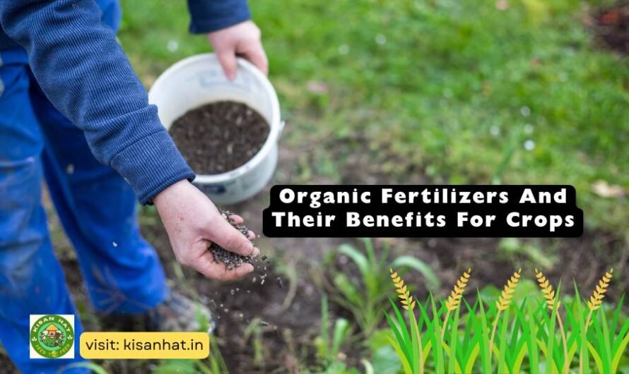 Organic Fertilizers And Their Benefits For Crops