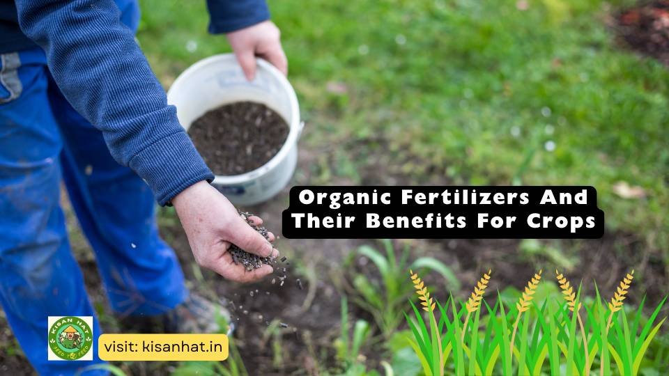 Organic Fertilizers And Their Benefits For Crops