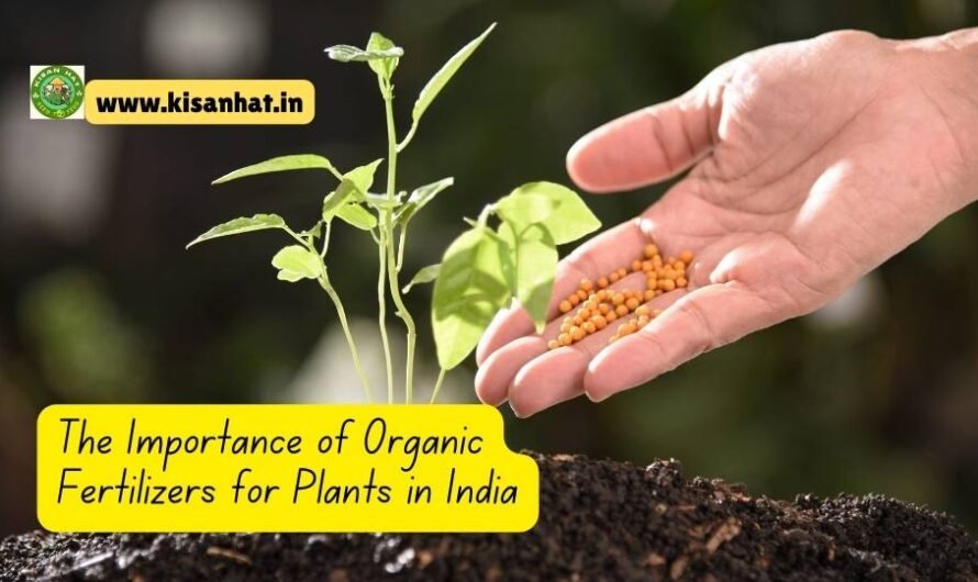 The Importance of Organic Fertilizers for Plants in India