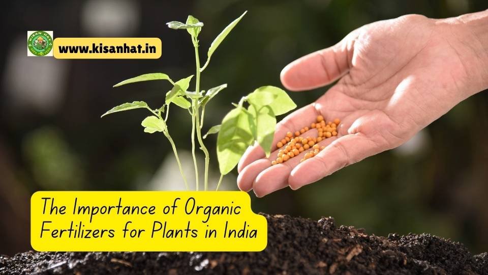 The Importance of Organic Fertilizers for Plants in India