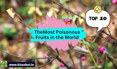 The Top 10 Most Poisonous Fruits in the World