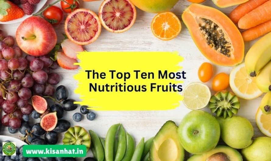 The Top Ten Most Nutritious Fruits