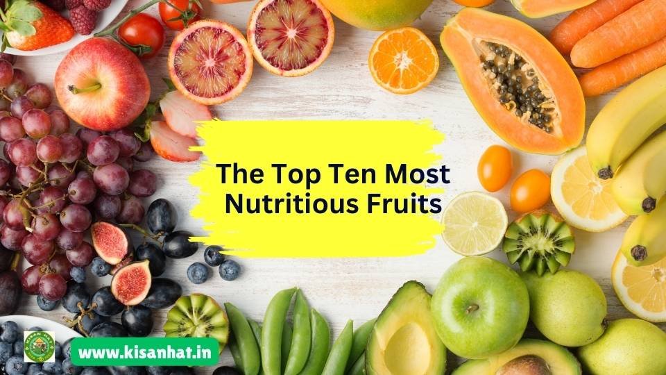 The Top Ten Most Nutritious Fruits