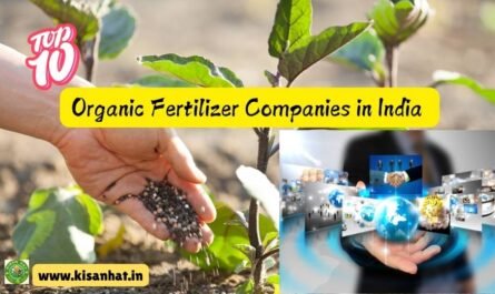 Top 10 Organic Fertilizer Companies in India