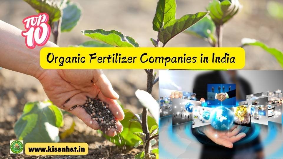 Top 10 Organic Fertilizer Companies in India 