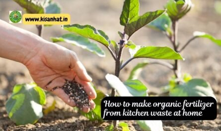 Top 10 advantages of organic fertilizers in agriculture