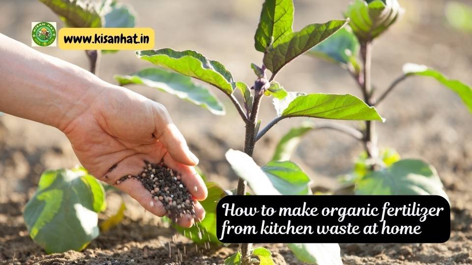 Top 10 advantages of organic fertilizers in agriculture