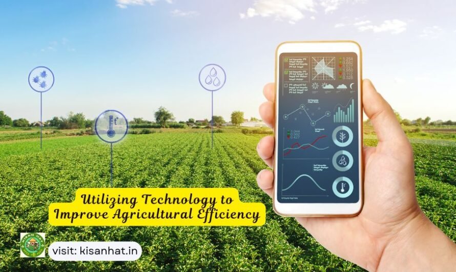 Utilizing Technology to Improve Agricultural Efficiency