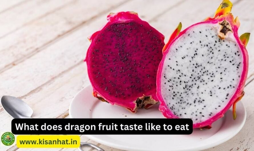 What does dragon fruit taste like to eat