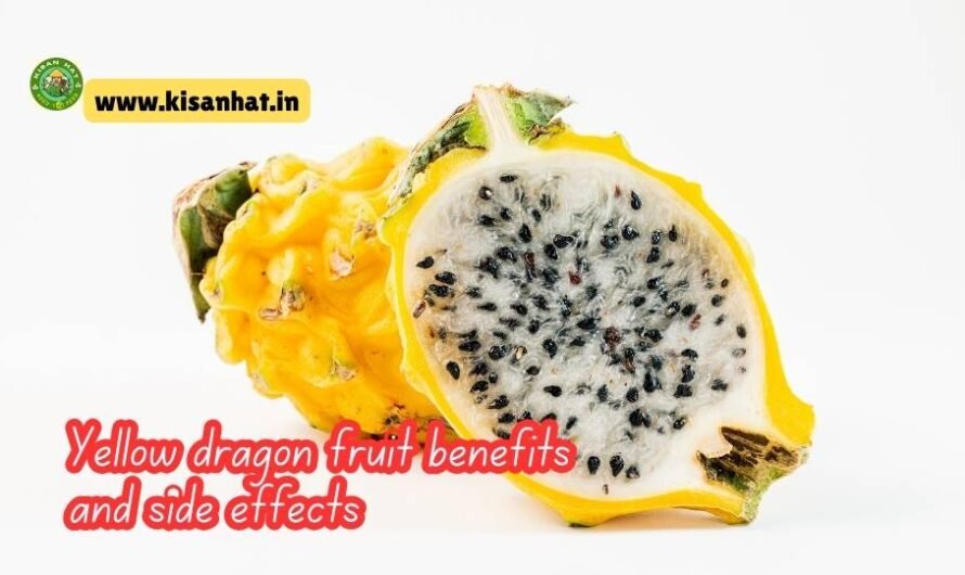 Yellow dragon fruit benefits and side effects